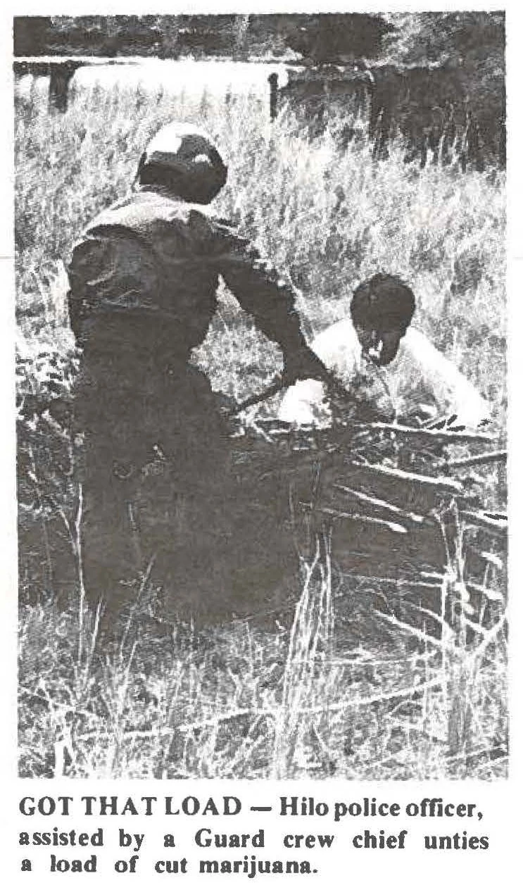 A Hilo police officer and a National Guard crew chief untying a sling-loaded bundle of cut cannabis in tall grass at a staging area, Hawaii, 1979